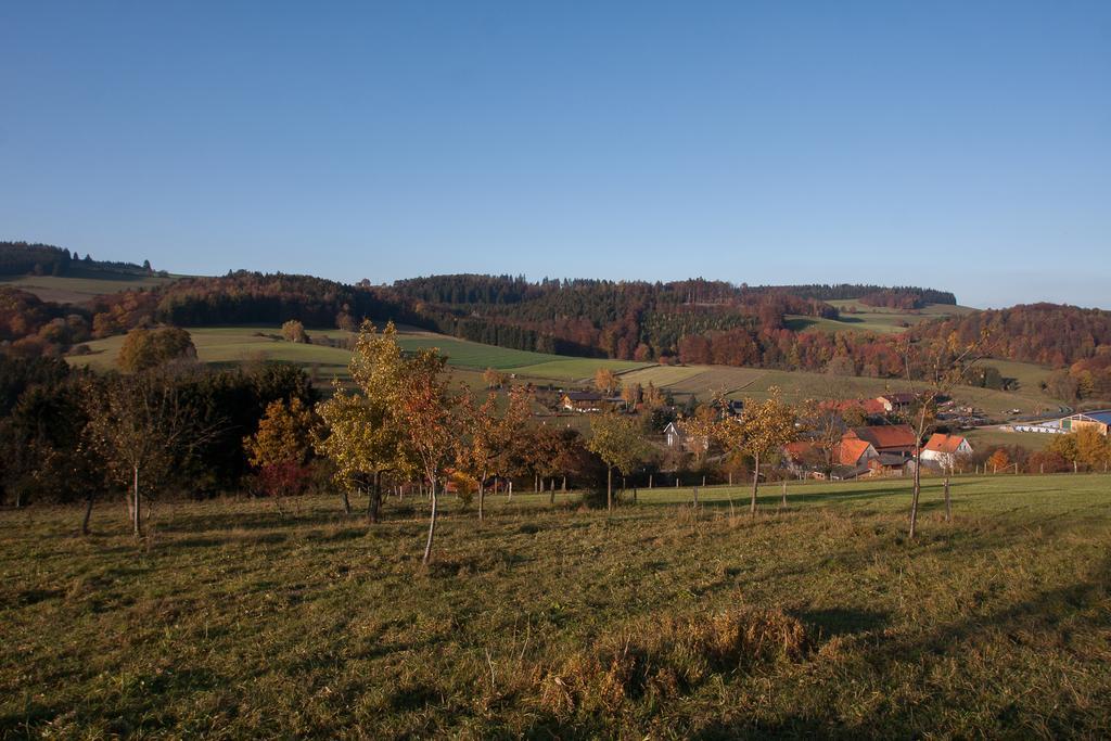 Fewo Alte Schule Willingen  Exteriér fotografie