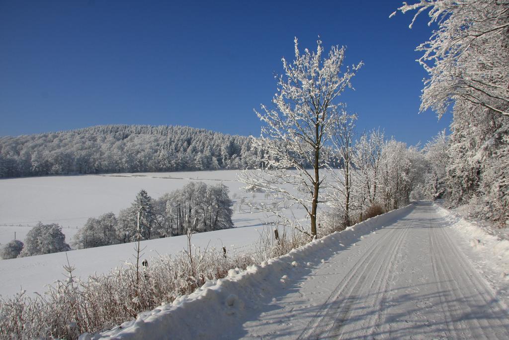 Fewo Alte Schule Willingen  Exteriér fotografie