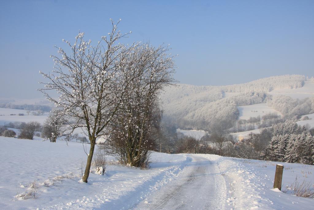 Fewo Alte Schule Willingen  Exteriér fotografie