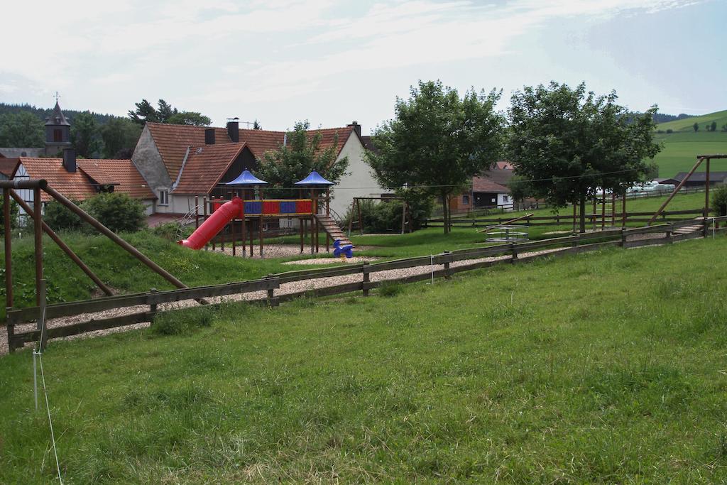 Fewo Alte Schule Willingen  Exteriér fotografie